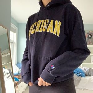 Michigan Uni Urban Outfitters Hoodie
